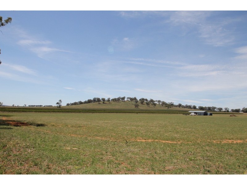164 Grimshaw Lane, Gulgong NSW 2852