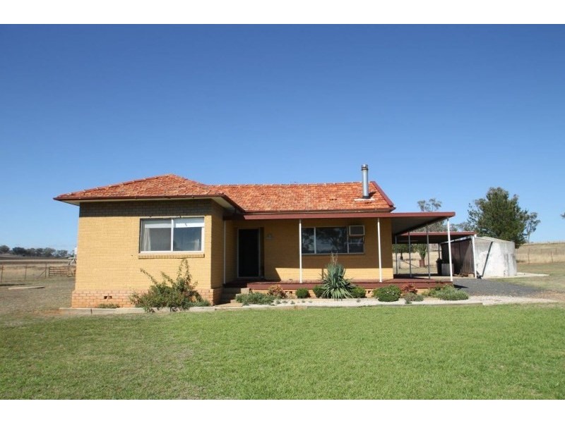 164 Grimshaw Lane, Gulgong NSW 2852