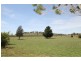 164 Grimshaw Lane, Gulgong NSW 2852