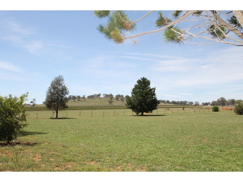 164 Grimshaw Lane, Gulgong NSW 2852