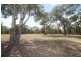 460 Yarrawonga Road, Mudgee NSW 2850
