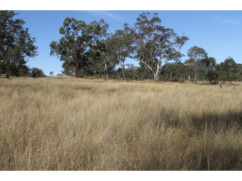 701 Durridgerie Road, Mudgee NSW 2850