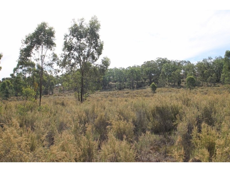 701 Durridgerie Road, Mudgee NSW 2850