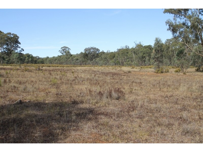 701 Durridgerie Road, Mudgee NSW 2850