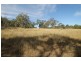 701 Durridgerie Road, Mudgee NSW 2850