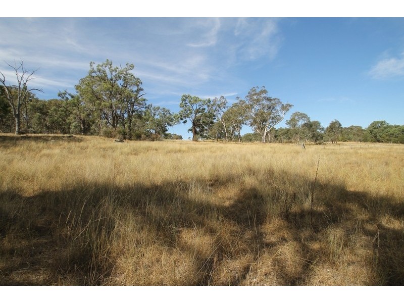 701 Durridgerie Road, Mudgee NSW 2850