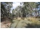 1515 Blue Springs Road, Gulgong NSW 2852
