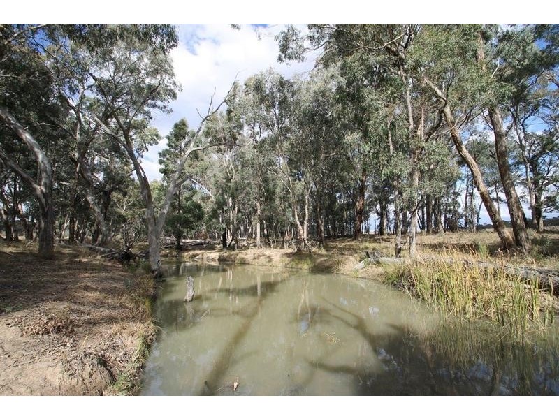 1515 Blue Springs Road, Gulgong NSW 2852