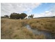 1515 Blue Springs Road, Gulgong NSW 2852