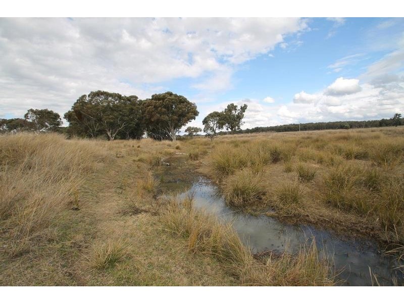 1515 Blue Springs Road, Gulgong NSW 2852