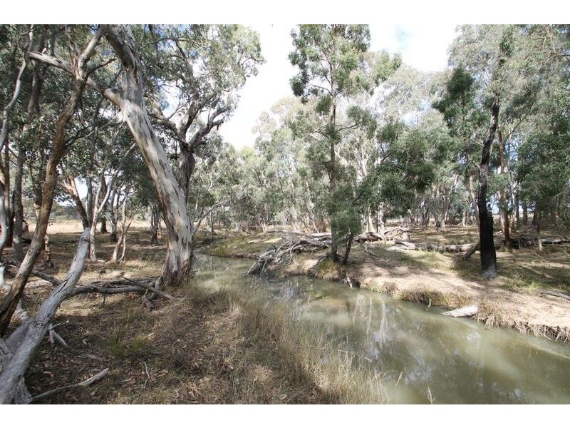 1515 Blue Springs Road, Gulgong NSW 2852