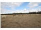1515 Blue Springs Road, Gulgong NSW 2852