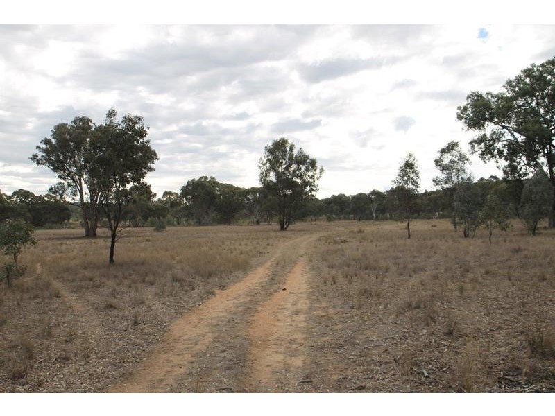 1515 Blue Springs Road, Gulgong NSW 2852