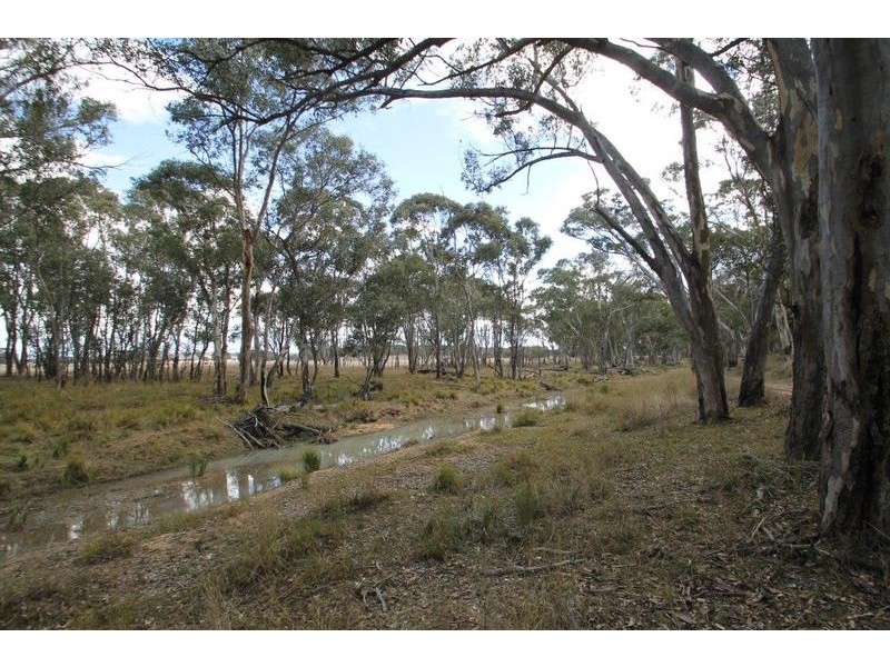 1515 Blue Springs Road, Gulgong NSW 2852