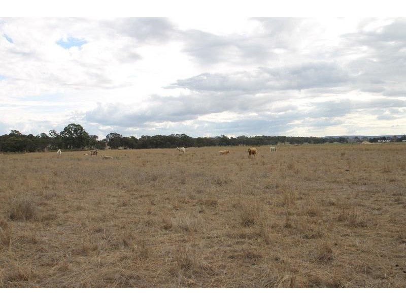 1515 Blue Springs Road, Gulgong NSW 2852