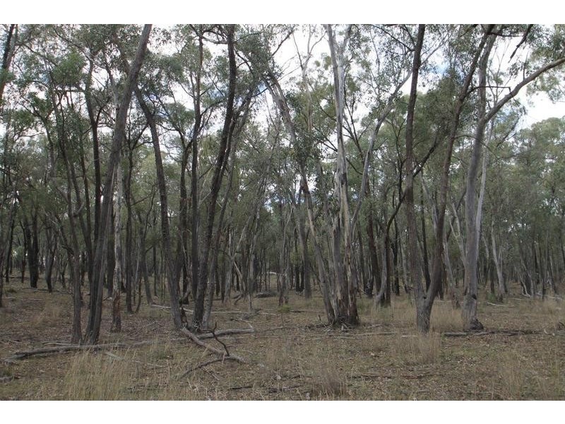 1515 Blue Springs Road, Gulgong NSW 2852