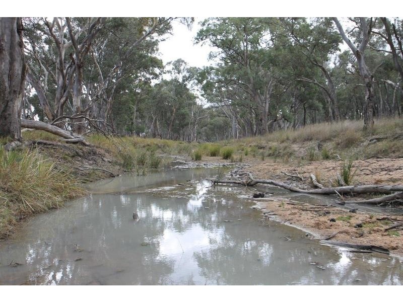 1515 Blue Springs Road, Gulgong NSW 2852