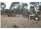 1515 Blue Springs Road, Gulgong NSW 2852
