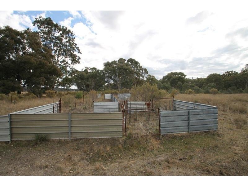 1515 Blue Springs Road, Gulgong NSW 2852