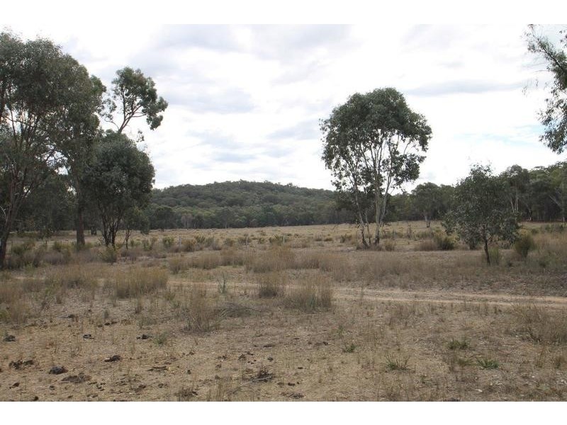 1515 Blue Springs Road, Gulgong NSW 2852