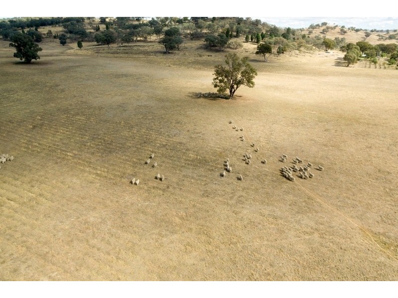 4528 Twelve Mile Road, Mudgee NSW 2850