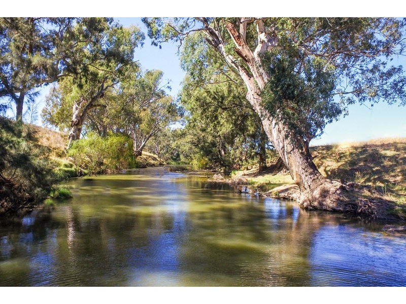 4528 Twelve Mile Road, Mudgee NSW 2850