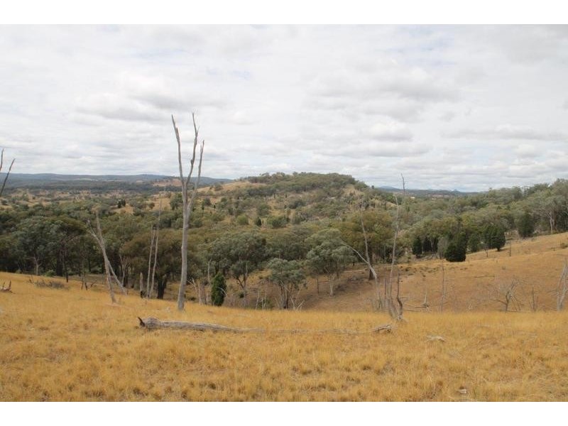 827 Bara-Lue Road, Mudgee NSW 2850