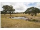 827 Bara-Lue Road, Mudgee NSW 2850