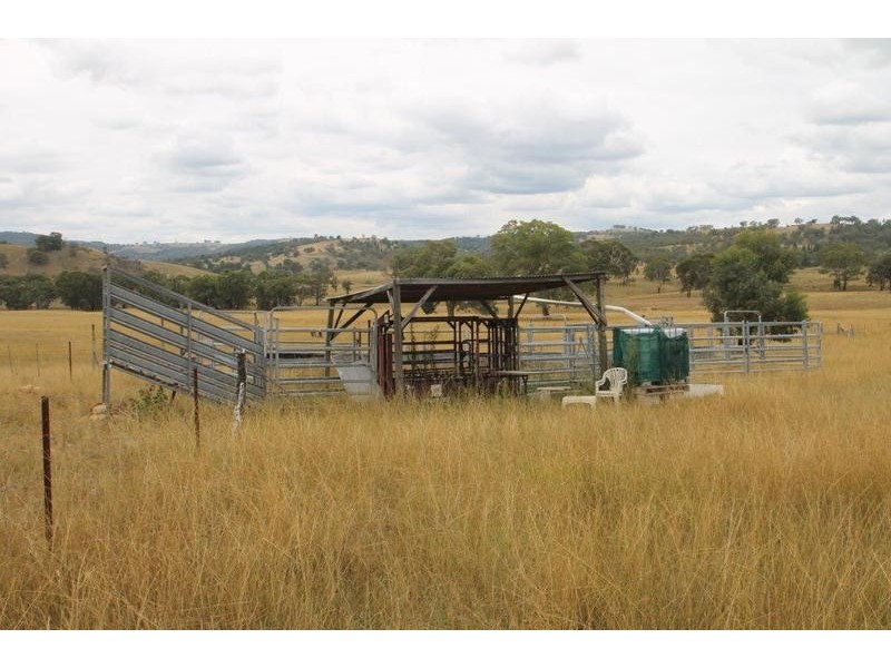 827 Bara-Lue Road, Mudgee NSW 2850