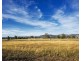 166 Broadhead Road, Mudgee NSW 2850
