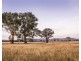 166 Broadhead Road, Mudgee NSW 2850