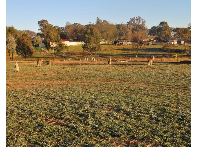 7 Barrington Court, Mudgee NSW 2850