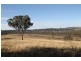 146 Clarkes Creek Road, Mudgee NSW 2850