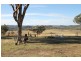 146 Clarkes Creek Road, Mudgee NSW 2850