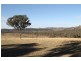 146 Clarkes Creek Road, Mudgee NSW 2850
