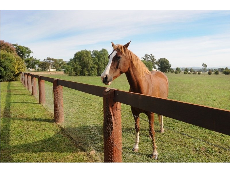 18 Marshfield Lane, Mudgee NSW 2850