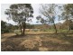 1002 Black Willow Road, Mudgee NSW 2850