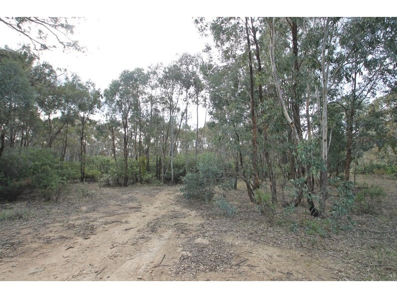 1002 Black Willow Road, Mudgee NSW 2850