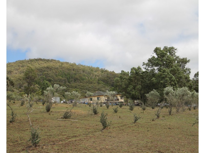 686 Buckaroo Road, Mudgee NSW 2850