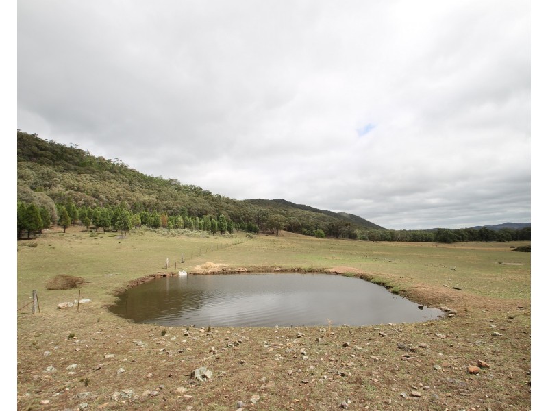 686 Buckaroo Road, Mudgee NSW 2850