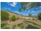 146 Roberts Road, Mudgee NSW 2850