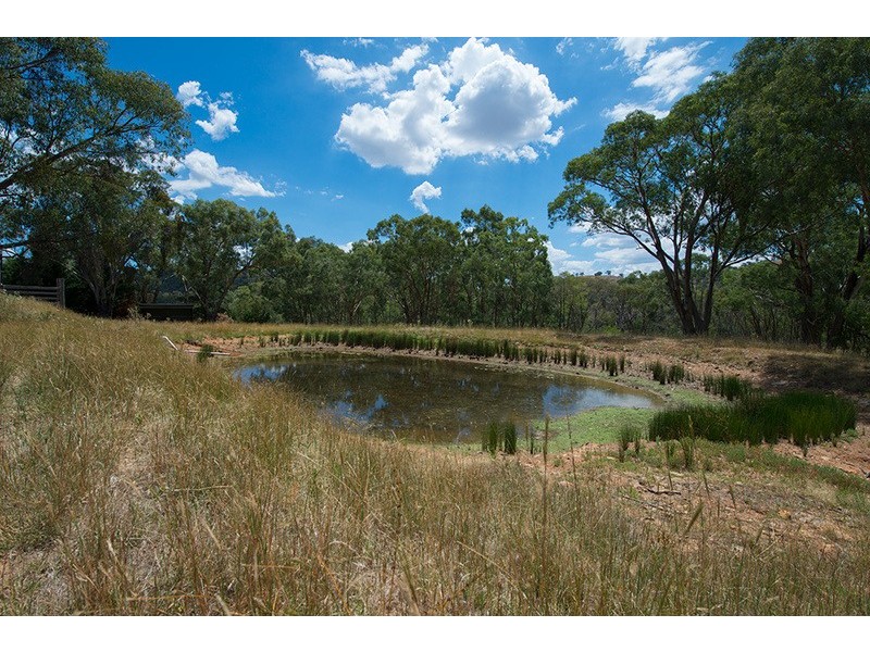 146 Roberts Road, Mudgee NSW 2850