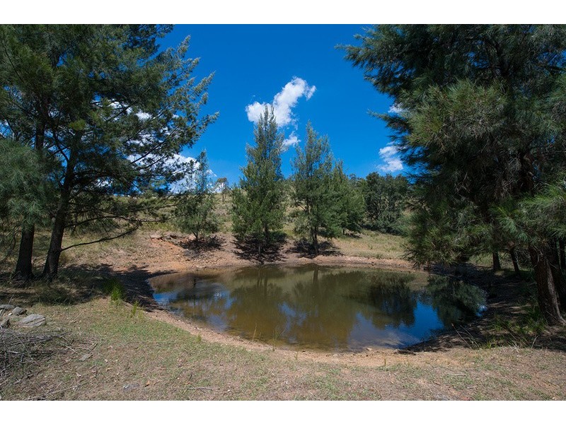 146 Roberts Road, Mudgee NSW 2850