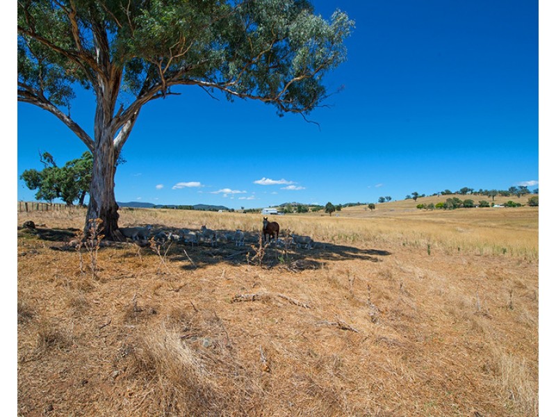 146 Tuckermans Road, Mudgee NSW 2850