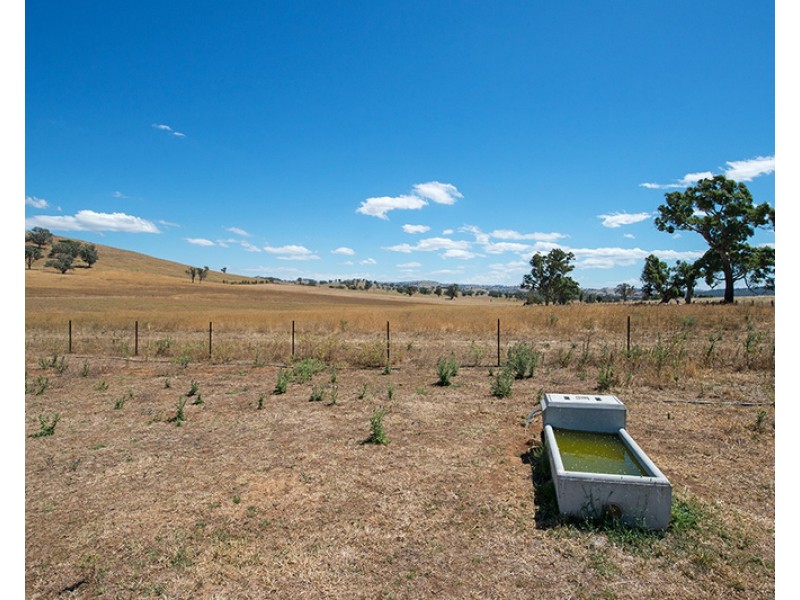 146 Tuckermans Road, Mudgee NSW 2850