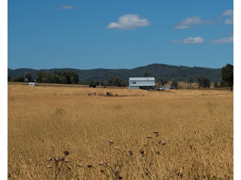 146 Tuckermans Road, Mudgee NSW 2850