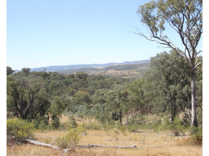 Lot 296, 758 Pyramul Road, Mudgee NSW 2850