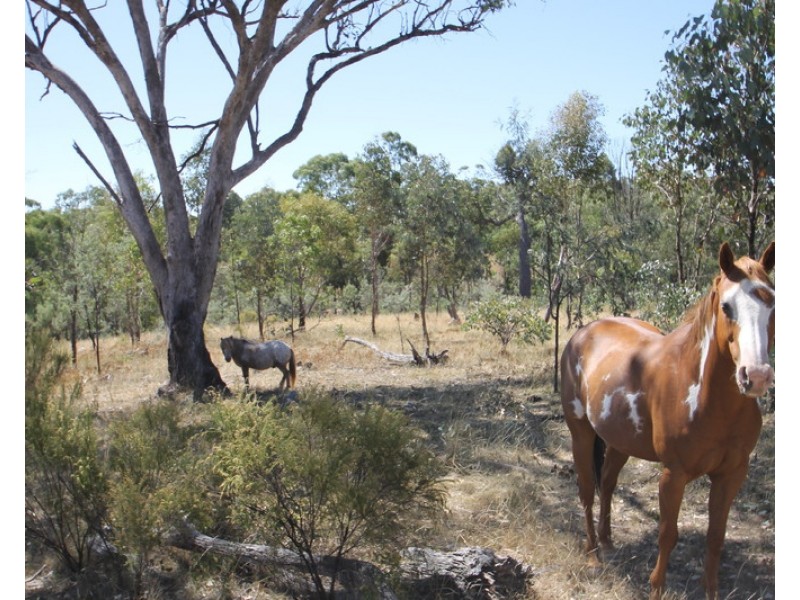 Lot 296, 758 Pyramul Road, Mudgee NSW 2850