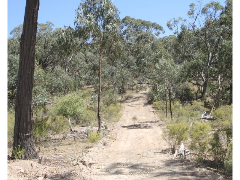 Lot 296, 758 Pyramul Road, Mudgee NSW 2850