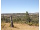 Lot 296, 758 Pyramul Road, Mudgee NSW 2850